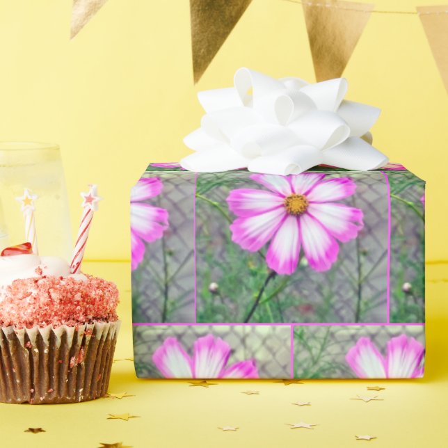 Papier Cadeau Fleur Cosmos rose et blanc (Fête d'anniversaire)