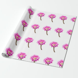 Papier Cadeau Fleur de cactus Pink Piazza en fleurs