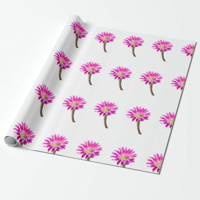 Papier Cadeau Fleur de cactus Pink Piazza en fleurs (Déroulé)