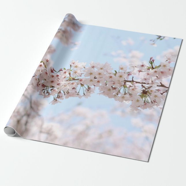 Papier Cadeau Fleur de cerisier blanc sous ciel bleu clair en m (Déroulé)