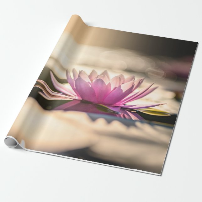 Papier Cadeau Fleur de Lotus, Lac, Zen (Déroulé)