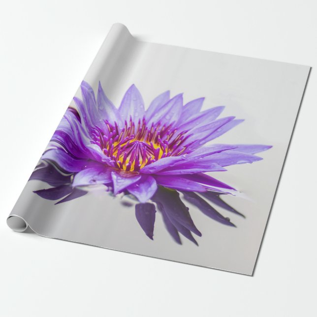 Papier Cadeau Fleur de lotus pourpre Zen (Déroulé)