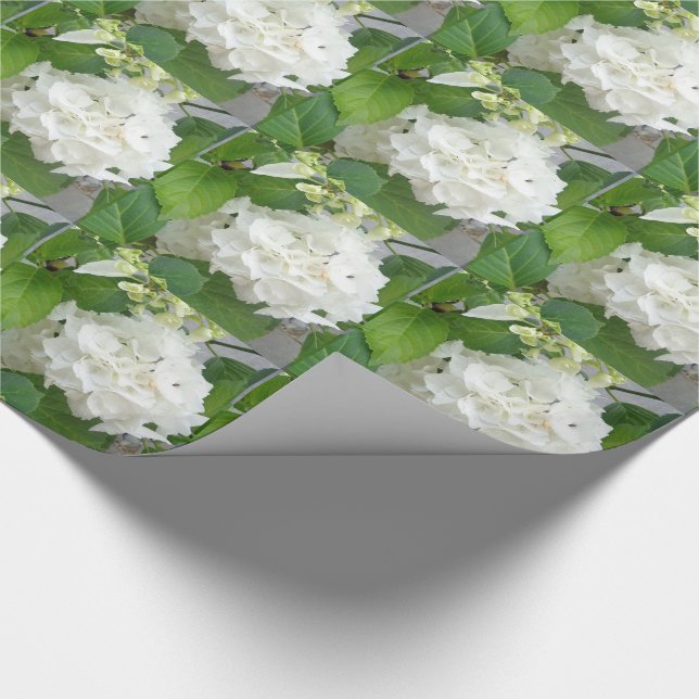 Papier Cadeau Fleur d'Hortensia Vert Blanc Nature Plantes de Jar (Coin)