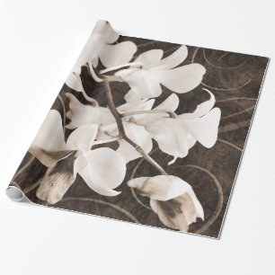 Papier Cadeau Fleur d'orchidée blanche Séphia Fleur de Arrièr