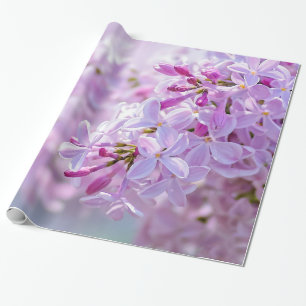 Papier Cadeau Fleur lilas rose
