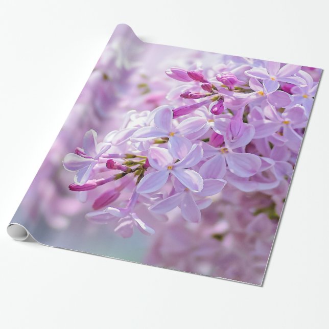 Papier Cadeau Fleur lilas rose (Déroulé)