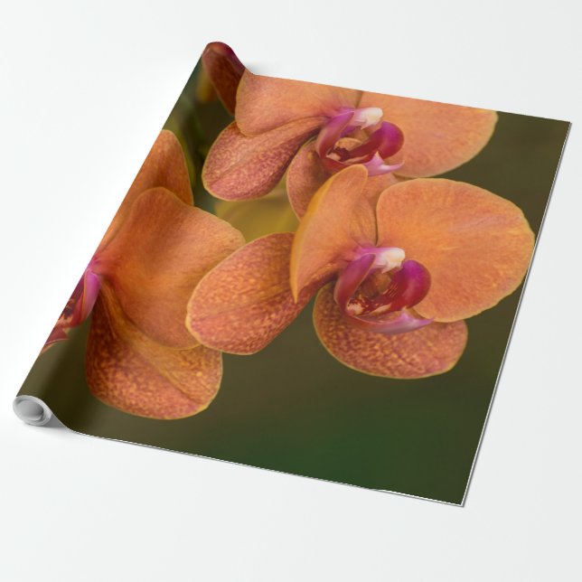 Papier Cadeau Fleur orchidée orange (Déroulé)