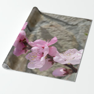 Papier Cadeau Fleur pétale