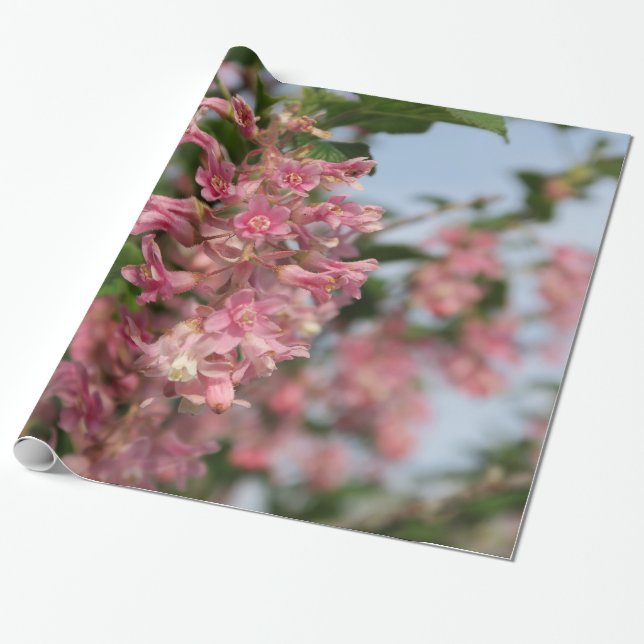 Papier Cadeau fleur rose (Déroulé)
