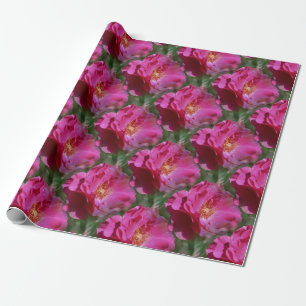 Papier Cadeau Fleur rose Motif Nature