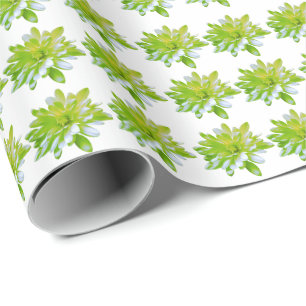 Papier Cadeau Fleur vert vert vert vert pâle marguerite