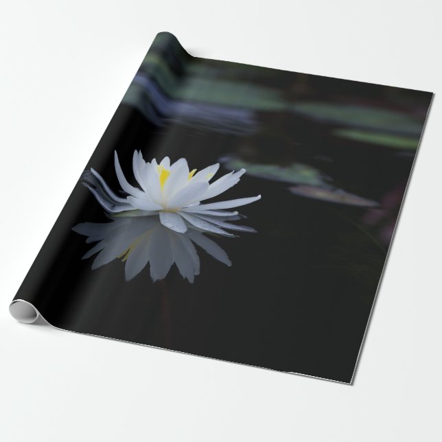 Papier Cadeau Fleur Zen Lotus Blanc (Déroulé)