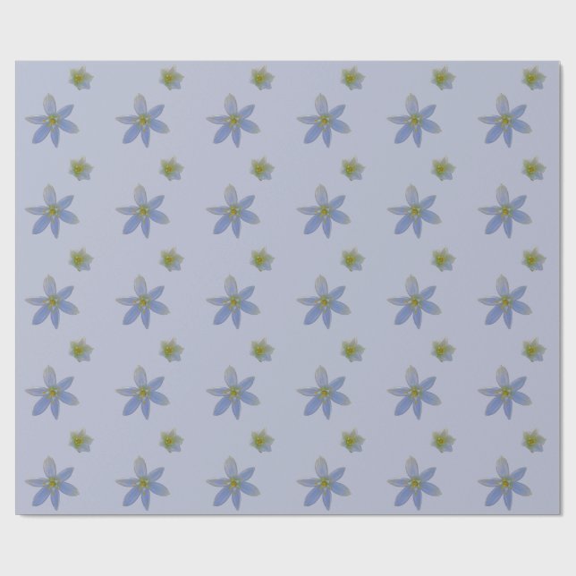 Papier Cadeau fleurir en blanc  (Plat)