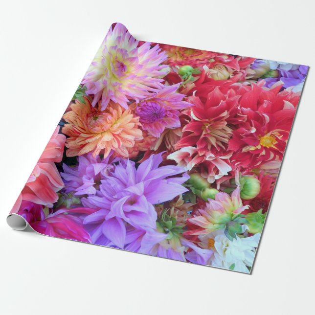 Papier Cadeau Fleurs Dahlia colorées et vives (Déroulé)