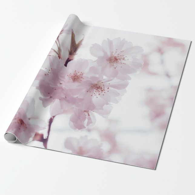 PAPIER CADEAU FLEURS DE BLOSOMES DE CHERRY (Déroulé)