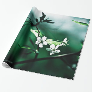Papier Cadeau Fleurs de cerisier blanches