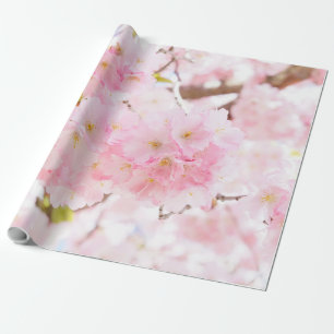 Papier Cadeau Fleurs de cerisier roses de Sakura d'arbre
