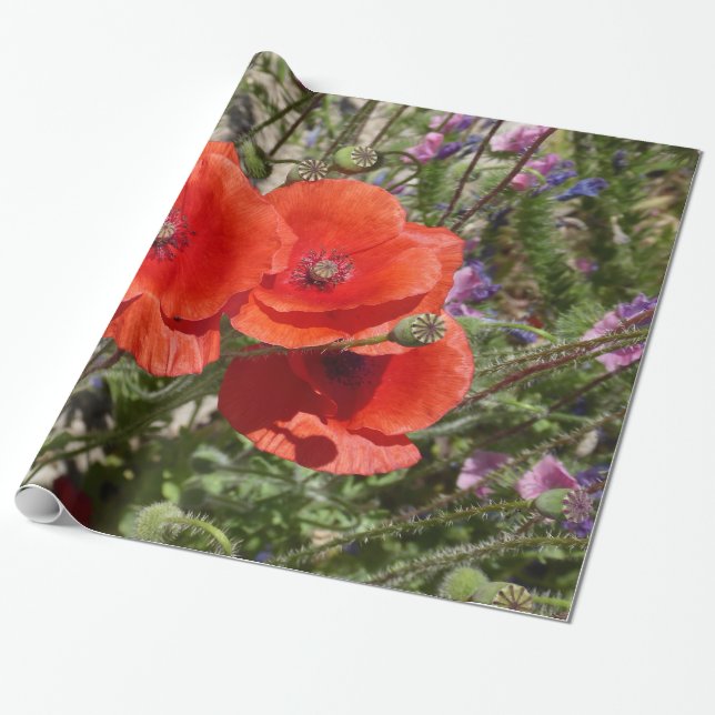 PAPIER CADEAU FLEURS DE COQUELICOT (Déroulé)