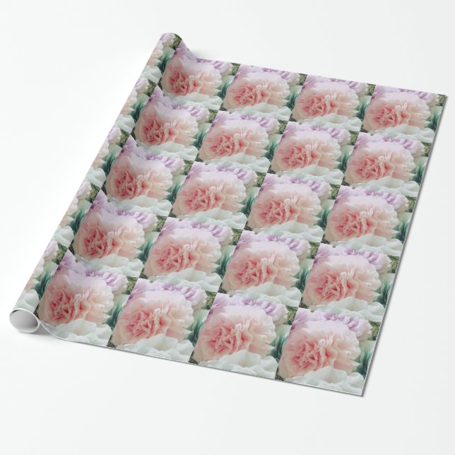 Papier Cadeau Fleurs de Filtre à Café Doux (Déroulé)