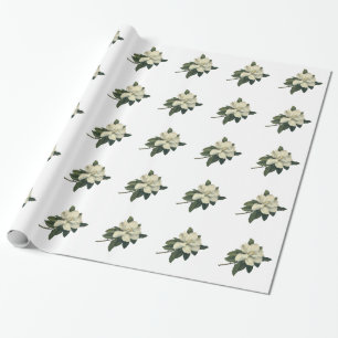 Papier Cadeau Fleurs de fleurs vintages de Magnolia Blanche en f