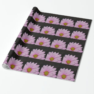 Papier Cadeau Fleurs de marguerite en fleurs Paix Amour Nature D