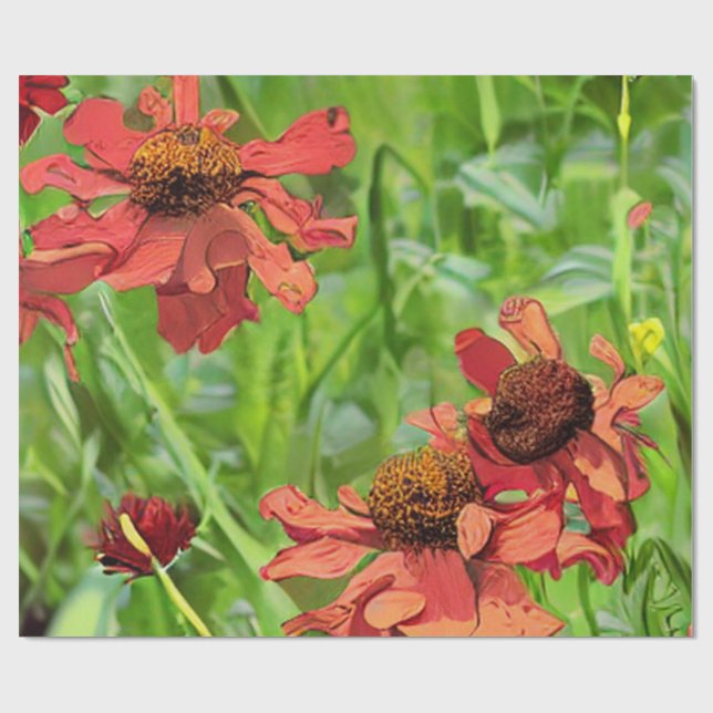 PAPIER CADEAU FLEURS DE RUDBECKIA ROUGES (Plat)