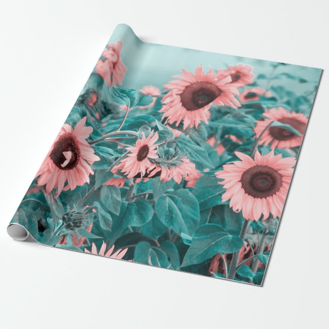 Papier Cadeau Fleurs de soleil géantes rose Turquoise Art Découp (Déroulé)