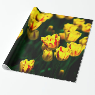 Papier Cadeau Fleurs de tulipe jaune