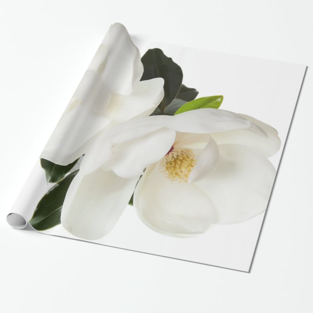 Papier Cadeau Fleurs florales de magnolia de magnolias blanches (Déroulé)