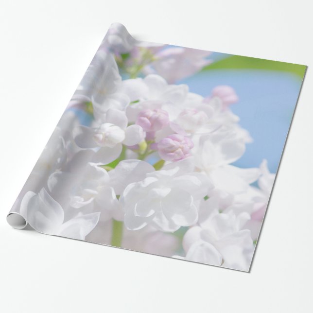 Papier Cadeau Fleurs Lilac (Déroulé)