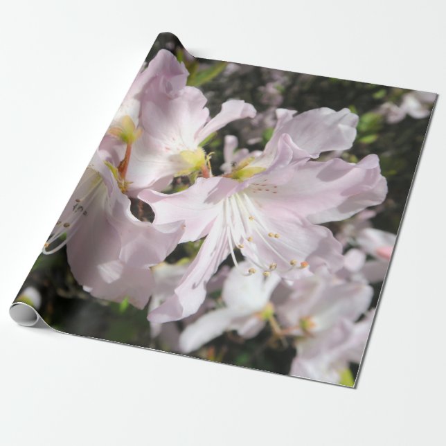 Papier Cadeau Fleurs lumineuses (Déroulé)