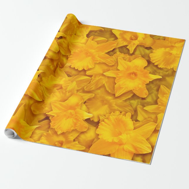 Papier Cadeau Fleurs Narcissus (Déroulé)