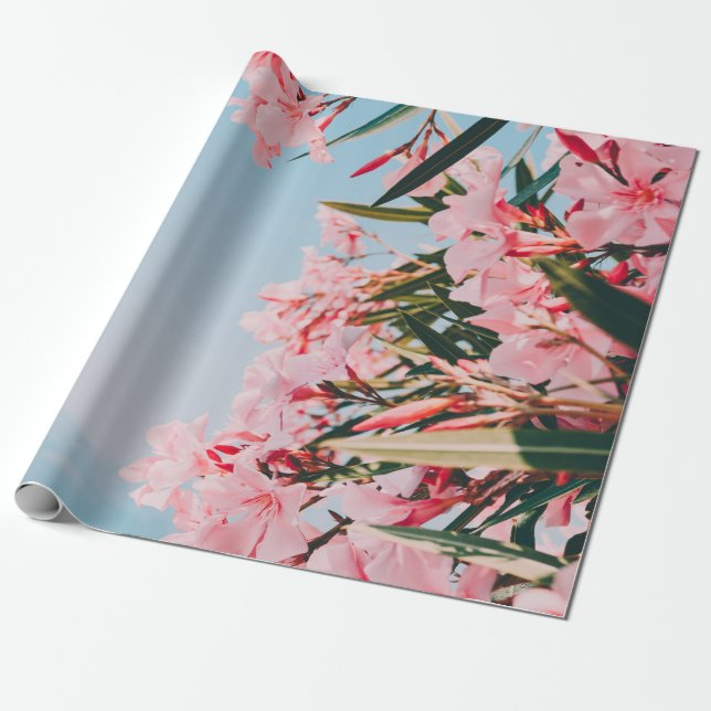 Papier Cadeau Fleurs pétales roses et blanches (Déroulé)