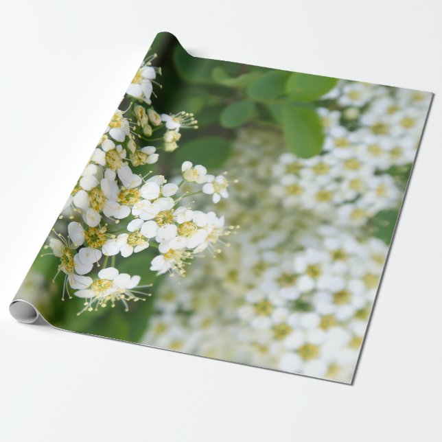 Papier Cadeau Fleurs, Plante blanc, Paysage pittoresque, (Déroulé)