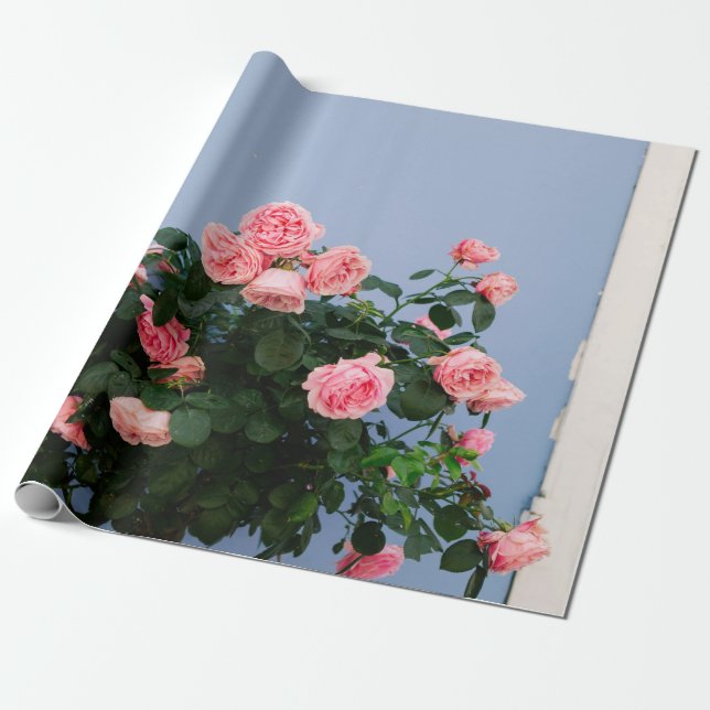 Papier Cadeau Fleurs rouges avec feuilles verts sur mur bleu (Déroulé)