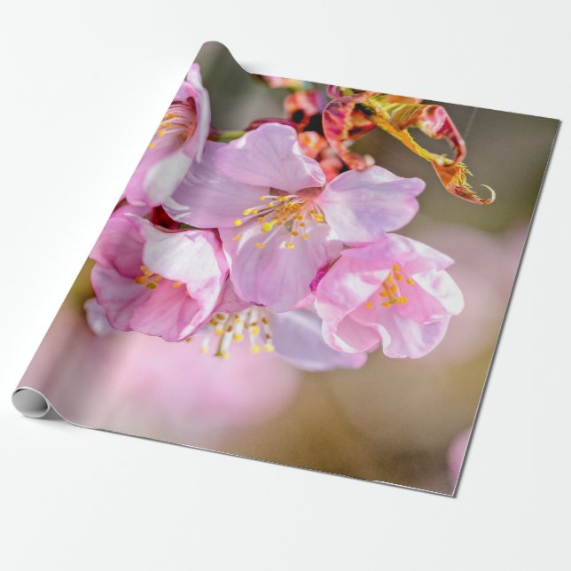 Papier Cadeau Fleurs Sakura Cool Et Charmantes (Déroulé)
