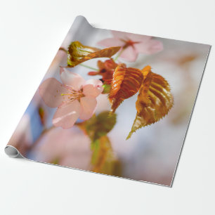 Papier Cadeau Fleurs Sakura Et Feuilles Oranges