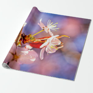 Papier Cadeau Fleurs sakura gaies