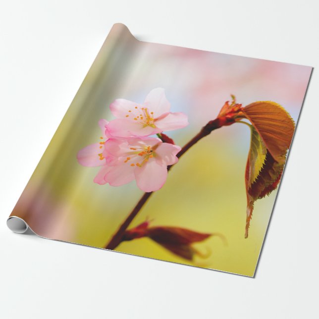 Papier Cadeau Fleurs Sakura Roses Et Feuilles Rouges (Déroulé)