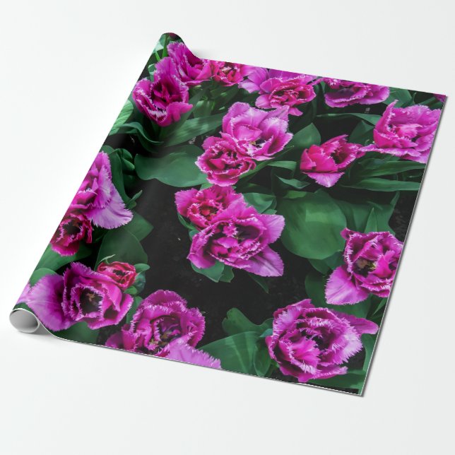 Papier Cadeau Fleurs tulipes roses (Déroulé)