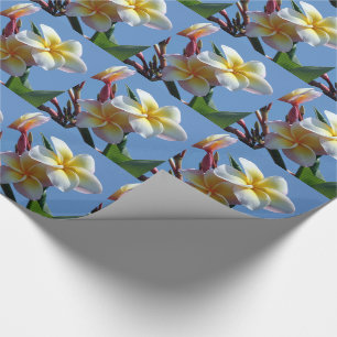 Papier Cadeau Fleurs voyantes de Frangipani de Plumeria