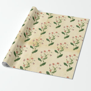 Papier Cadeau Floral vintage