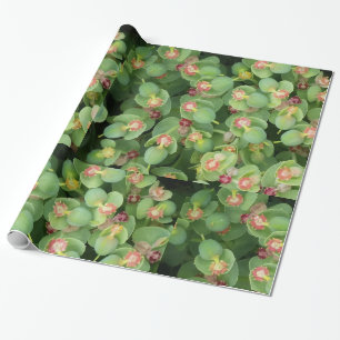 Papier Cadeau Flore verte minuscule