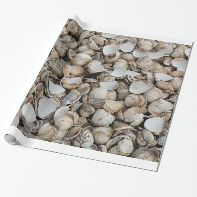 Papier Cadeau Fond de coquilles (Déroulé)