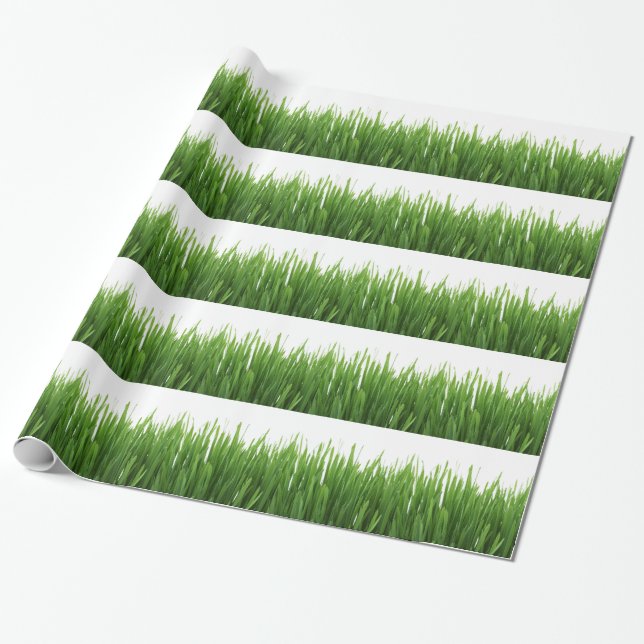 Papier Cadeau Fond d'herbe verte (Déroulé)