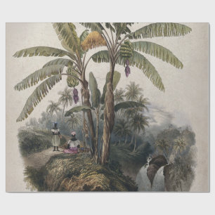 Papier Cadeau Forêt de bananiers tropicaux antiques   Bota vinta