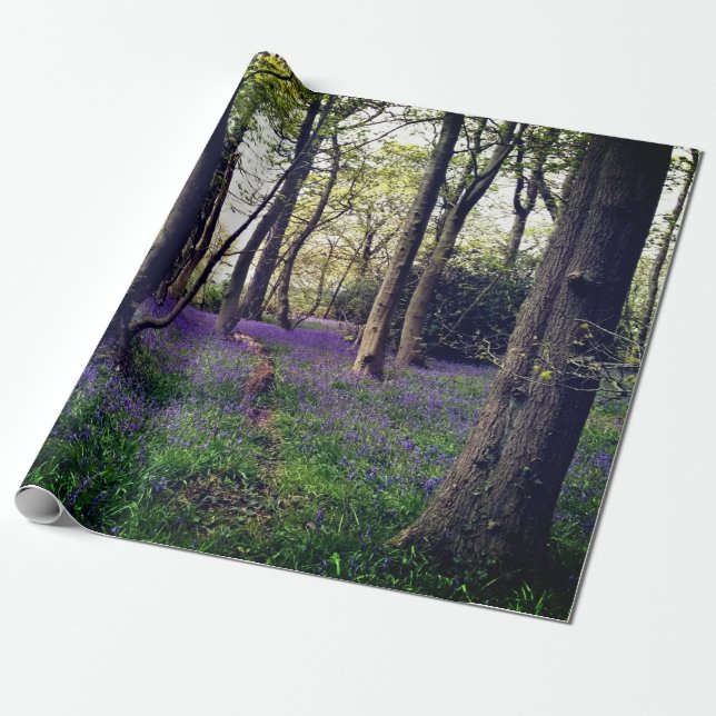 Papier Cadeau Forêt de Bluebells Floral moderne élégant (Déroulé)