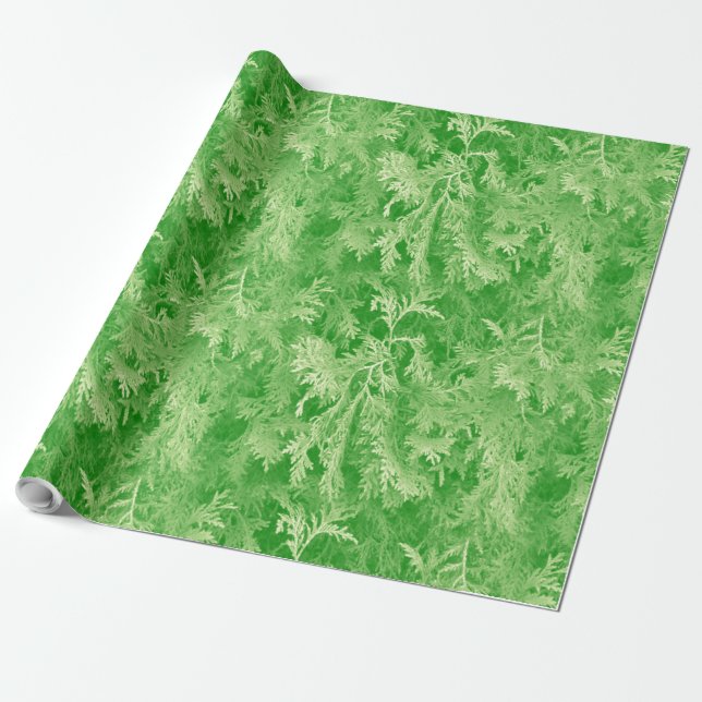 Papier Cadeau Forêt de Fir (Déroulé)