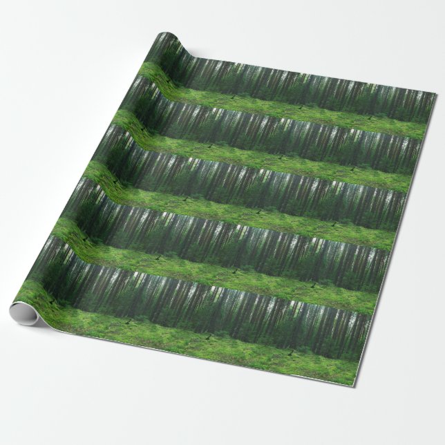Papier Cadeau Forêt d'été dense : Panorama paysager. (Déroulé)