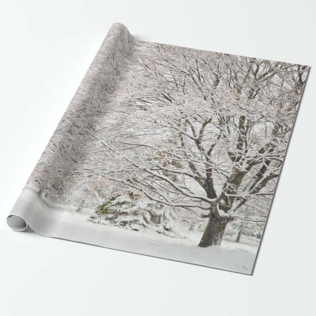 Papier Cadeau Forêt hivernale neige (Déroulé)